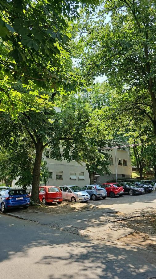 Apartman Maja Belgrad Exterior foto