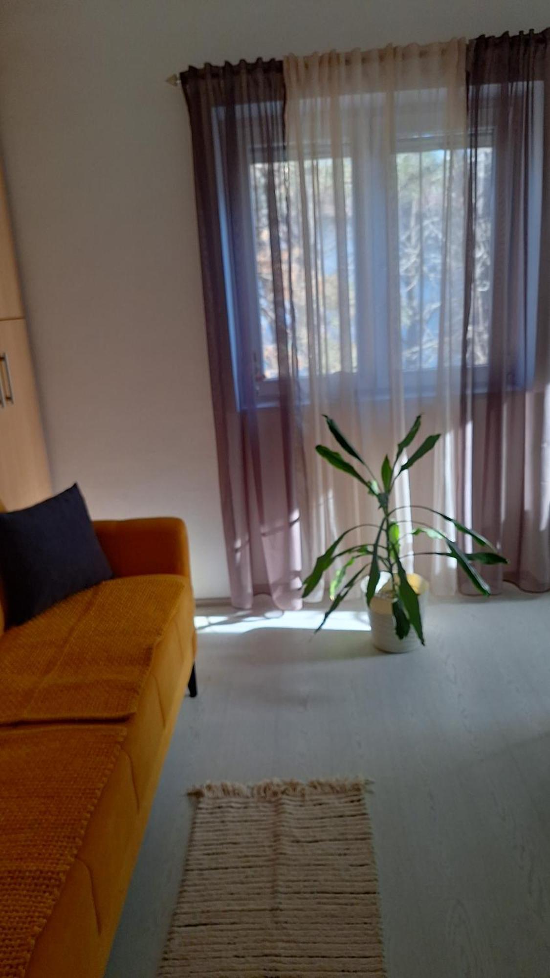 Apartman Maja Belgrad Exterior foto