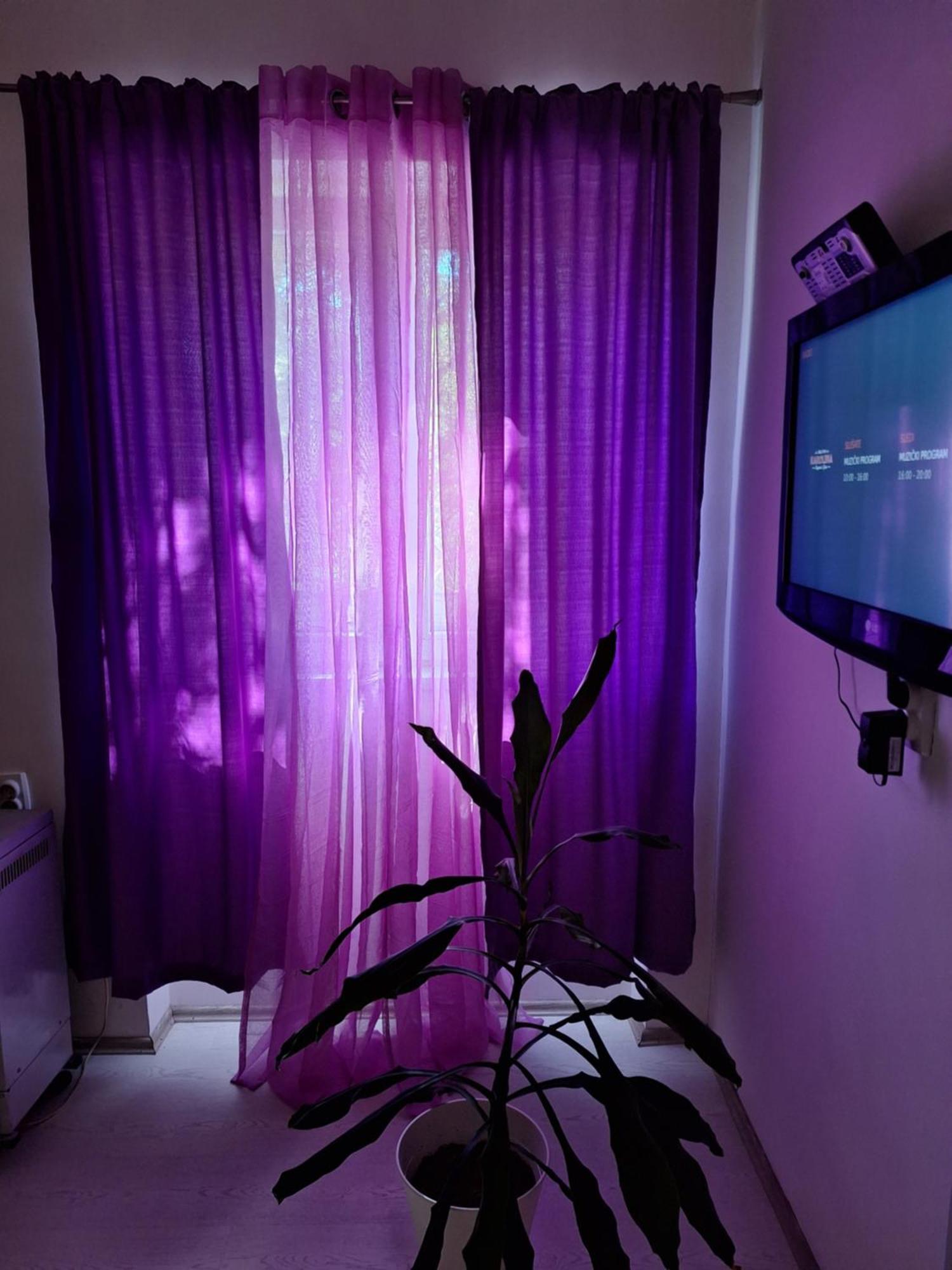 Apartman Maja Belgrad Exterior foto