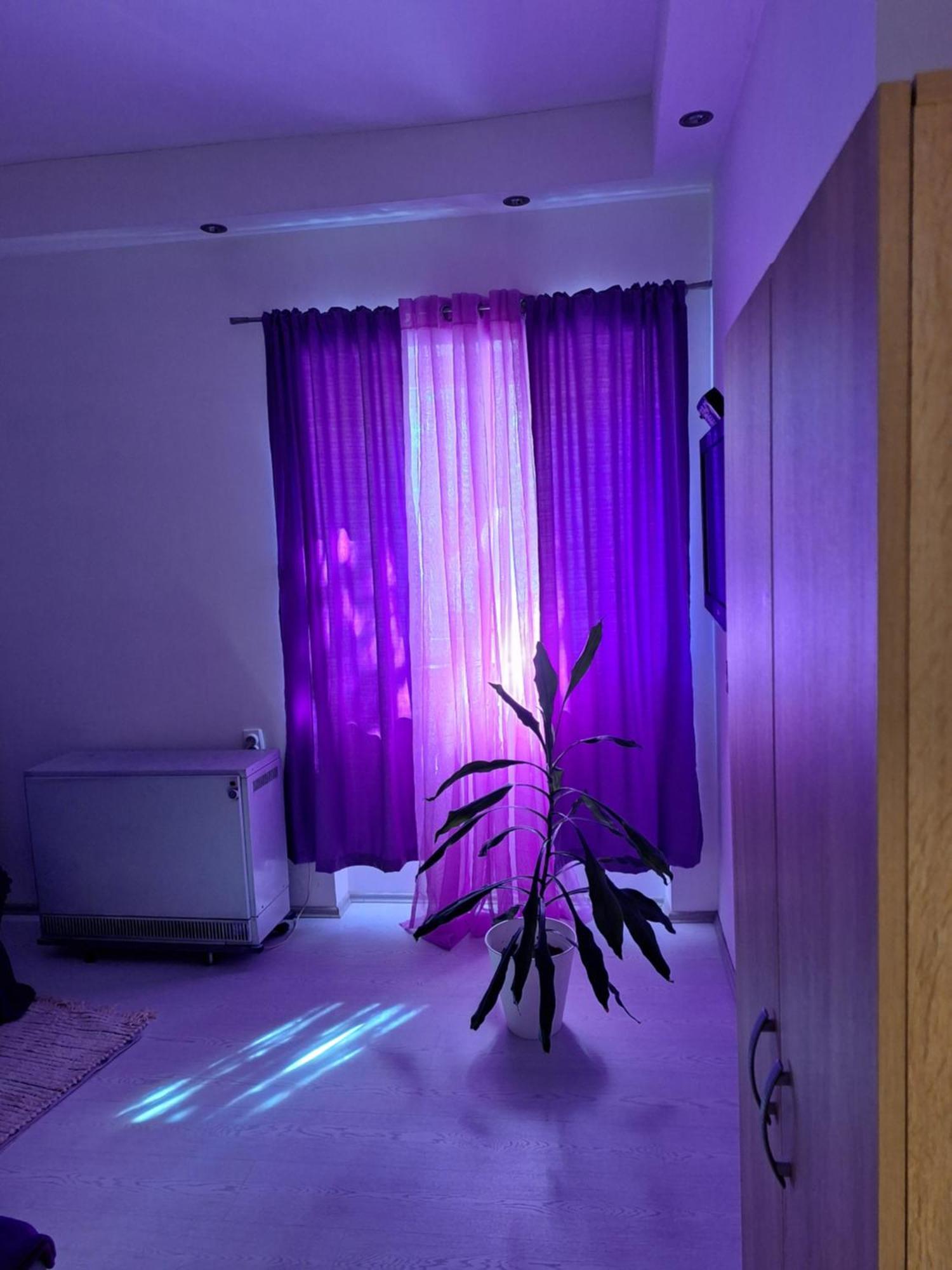 Apartman Maja Belgrad Exterior foto
